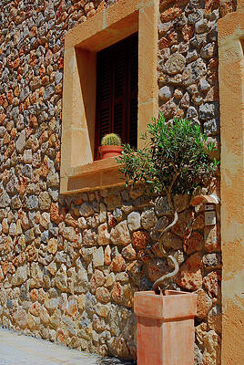Summer Wall Art featuring the photograph Stony House by Severija Kirilovaite