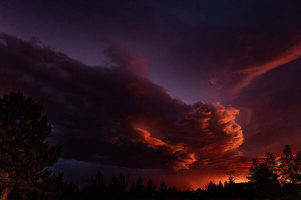 Dramatic Sunset Over Pine Forest Photograph