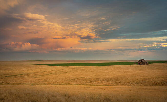 Yellow Wall Art featuring the photograph Storm On The Range by Kevin Schwalbe