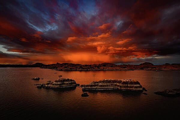 Photograph - Storm Over Willow by Matt Halvorson