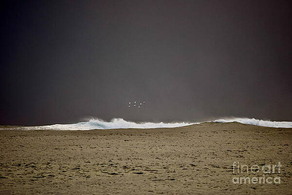 Seagulls Over Rolling Ocean Waves Wall Art