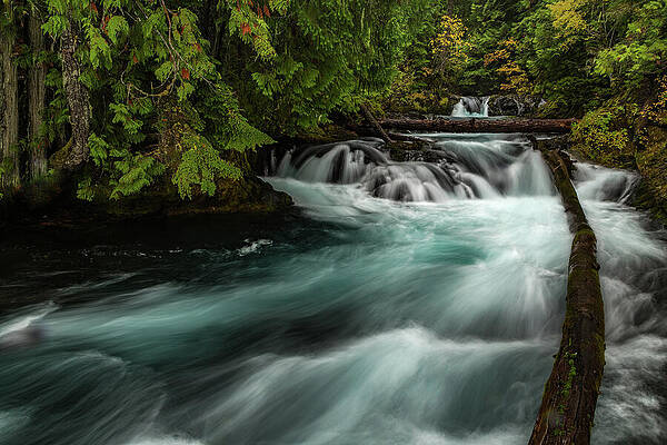 Mountain Wall Art featuring the photograph Storm Surge by Tim Lyden