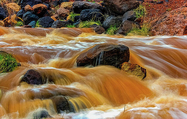Mexico Wall Art featuring the photograph Storm Wash River by Tommy Farnsworth
