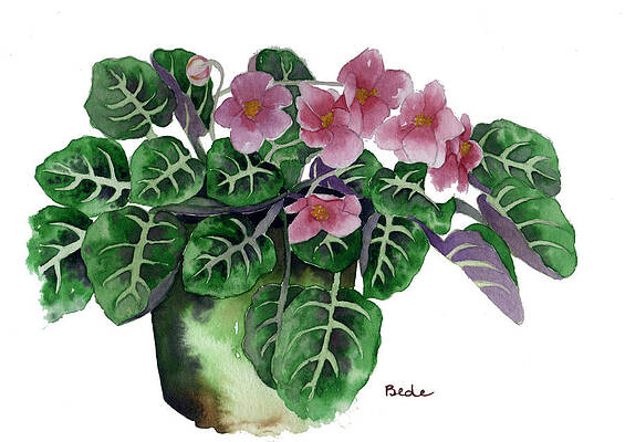 Wall Art featuring the painting Stormy by Catherine Bede