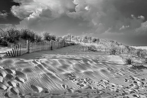 Photograph - Stormy Dunes by Steven Nelson