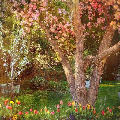 Wall Art featuring the photograph Storybook Spring by Mary Lee Dereske