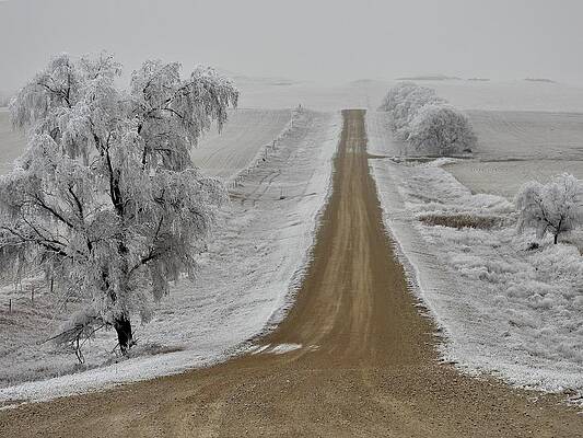Photograph - Straight Into The Fog by Amanda R Wright