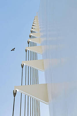 Sky Wall Art featuring the photograph Straight-Up - Sundial Bridge, Redding California by KJ Swan