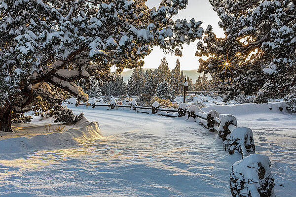 Bend Photograph - Streams And Beams by Tim Lyden