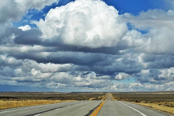 Landscape Photograph - Street Life by Alden White Ballard