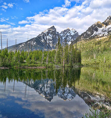 Wall Art featuring the photograph String Lake Reflections In Summer by Dan Sproul