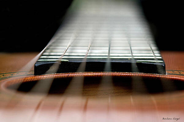 Music Wall Art featuring the photograph Strings by Barbara Siegel