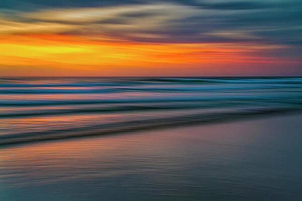 Wall Art featuring the photograph Strokes Of Beauty by Penny Polakoff