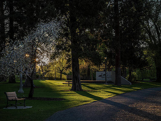 Bend Photograph - Stroll Time by Tim Lyden