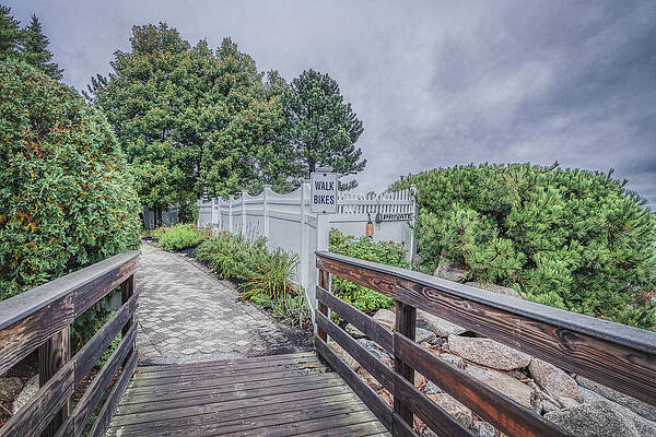 Wall Art featuring the photograph Strolling Along The Foot Path by Penny Polakoff
