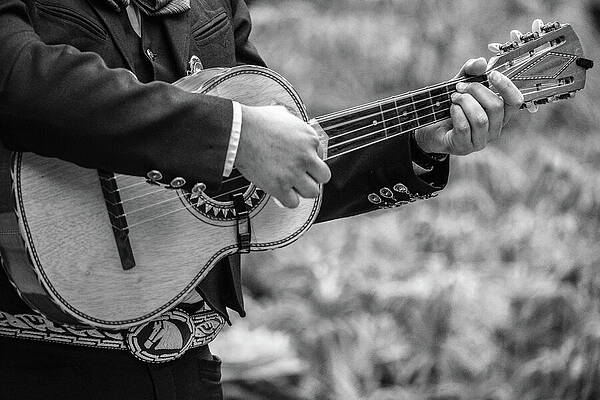 Wall Art featuring the photograph Strumming Along by KC Hulsman