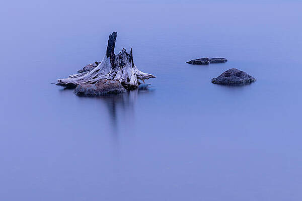 Moody Wall Art featuring the photograph Stump And Stones by Mike Lee