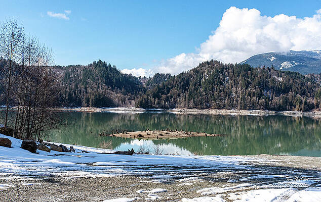 2023 Photograph - Stump Island In Lake Shannon by Tom Cochran