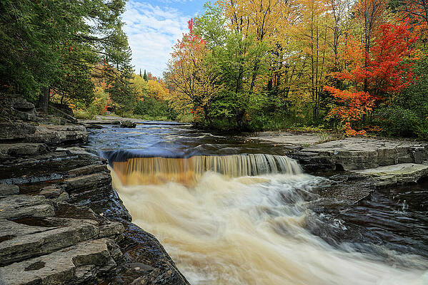 Fall Wall Art featuring the photograph Sturgeon River In Autumn by Michael Collins