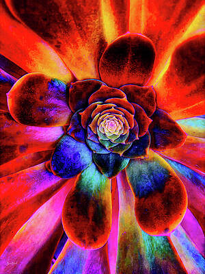 Wall Art featuring the digital art Succulent Close Up by Bruce Block