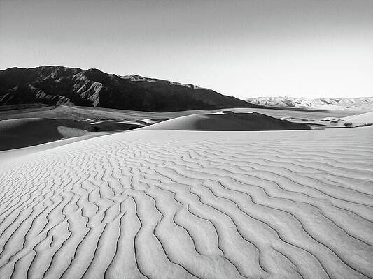 Wall Art featuring the photograph Sueno Con Las Dunas by Joe Schofield