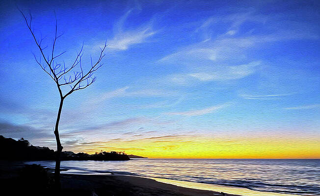 Wall Art featuring the photograph Suenos De Flamingo Playa by Joe Schofield