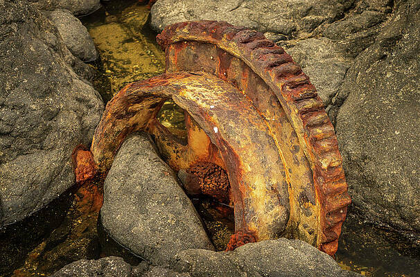 Wall Art featuring the photograph Sugar Industry Equipment Abandoned On Mokolea Point by Steven Heap