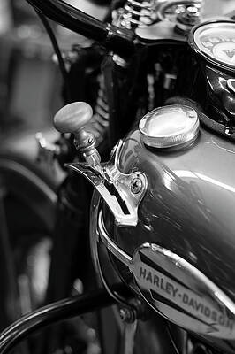 Wall Art featuring the photograph Suicide Shifter by Chad Thunberg