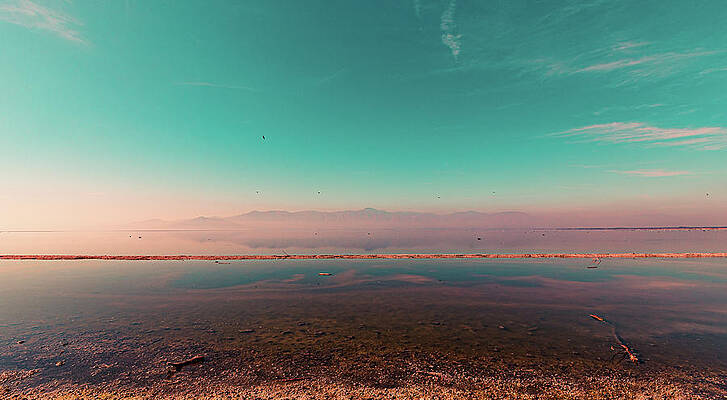 Summer Wall Art featuring the photograph Sulfuric, The Salton Sea by Shannon Williams