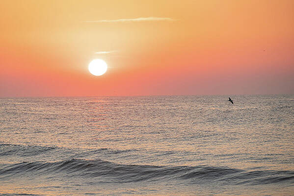 Summer Wall Art featuring the photograph Summer Beach Sunrise by Matthew DeGrushe