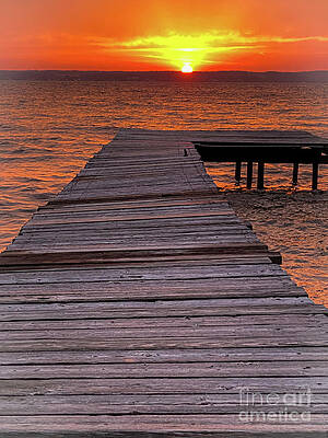 Spring Wall Art featuring the photograph Summer Ready by William Norton