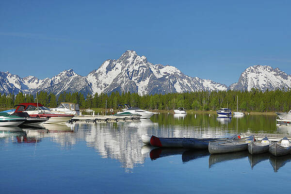 Reflection Wall Art featuring the photograph Summer Reflections Grand Teton National Park by Dan Sproul
