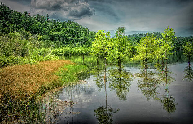 Wall Art featuring the photograph Summer Reflections On Chilhowee Lake by Marcy Wielfaert