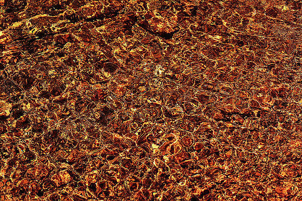 Summer Reflections by Rick Perkins