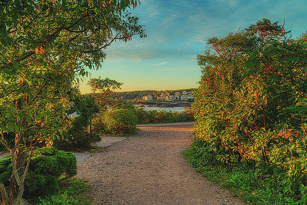 Wall Art featuring the photograph Autumn Sky On Marginal Way by Penny Polakoff