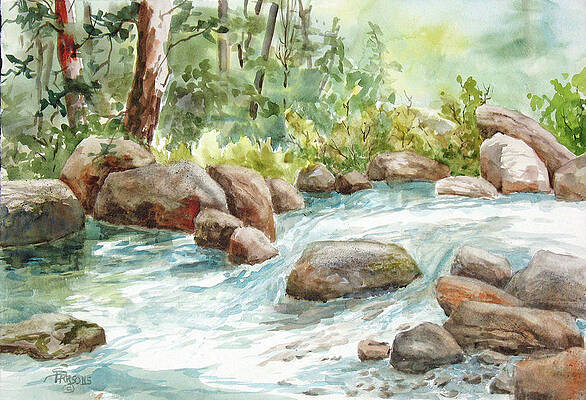 Wall Art featuring the painting Summer Stream - Broad River #4 by Sheila Parsons