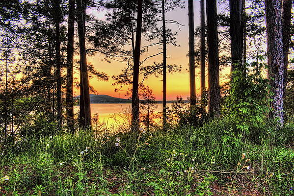 Wall Art featuring the photograph Summer Sundown At The Rothschild Pavilion by Dale Kauzlaric