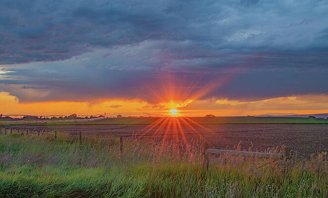 Country Photograph - Summer Sunset On The Farm, Textured by Marcy Wielfaert