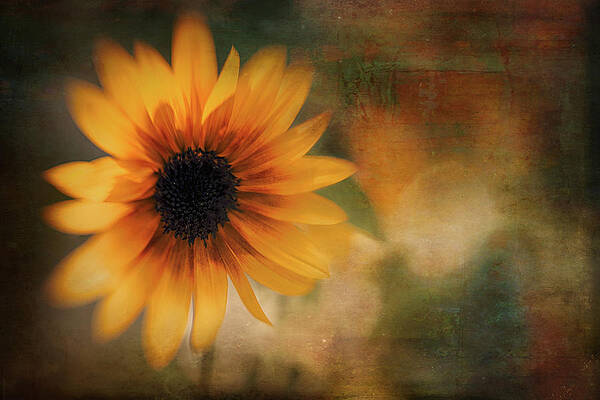 Summer Wall Art featuring the photograph Summer Time by Ursula Abresch