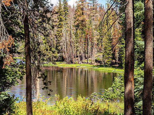 Beautiful Photograph - Summit Lake In Lassen Volcanic National Park by Ed Clark
