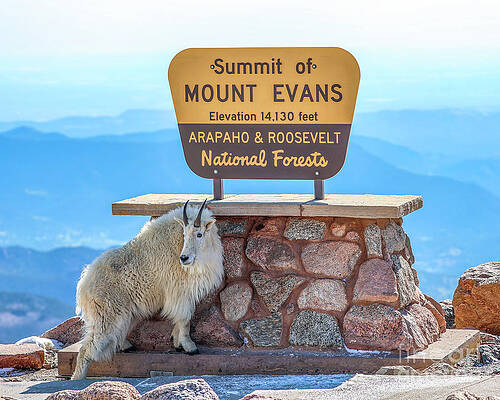 Colorado Wall Art featuring the photograph Summit Of Mount Evans Colorado by Shirley Dutchkowski
