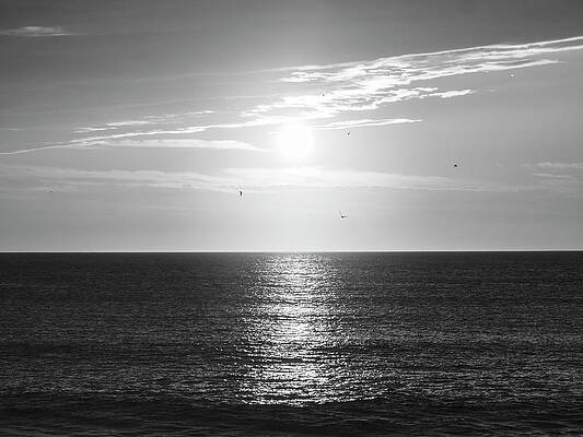 Sunrise Wall Art featuring the photograph Sun And Seagulls Over The Atlantic - Black And White by Jason Fink
