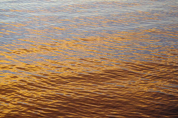 Wave Photograph - Sun On The Water by Murray Croft