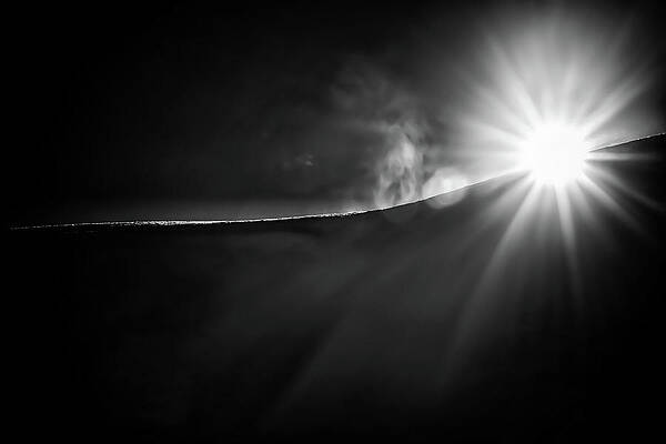 Nature Photograph - Sun Peek by Ursula Abresch