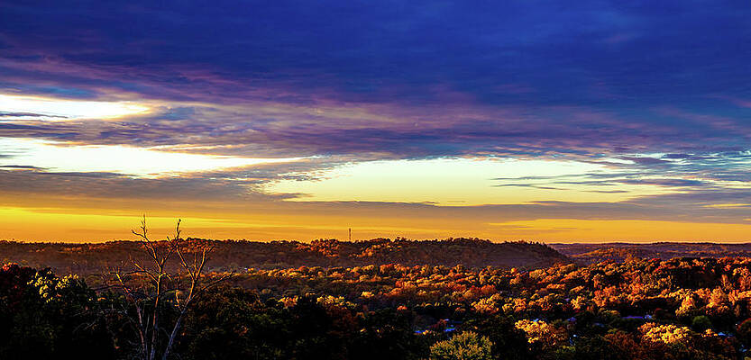 Wall Art featuring the photograph Sun Rise Over The Trees by Jonny D