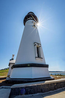 Oregon Photograph - Sun Star Yaquina by Diane Moller
