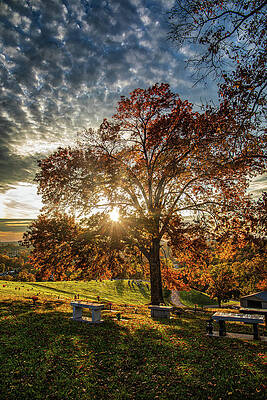 West Virginia Photograph - Sun Through The Tree by Jonny D