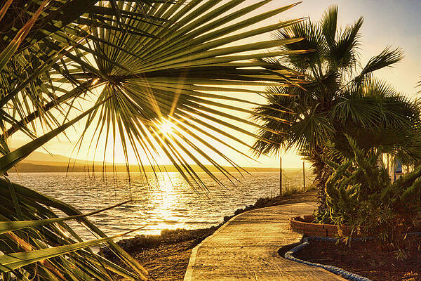 Serene Photograph - Sunburst Over The Water In San Quintin Baja California, Mexico by Tatiana Travelways
