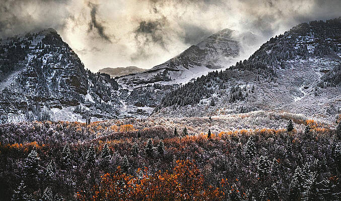Canyon Photograph - Sundance Autumn Snowfall 2, Utah by Abbie Warnock
