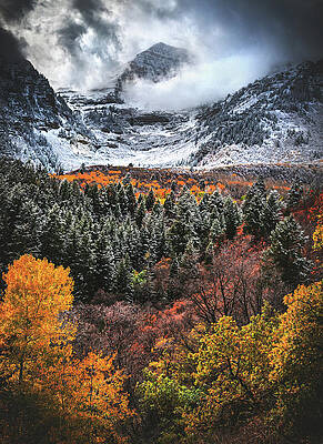 Canyon Photograph - Sundance Fire And Ice, Utah - Vertical by Abbie Warnock